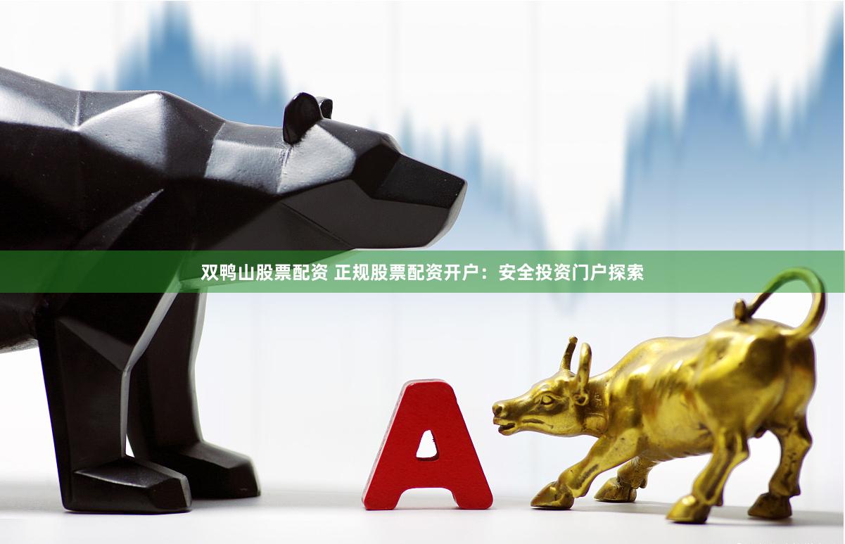 双鸭山股票配资 正规股票配资开户：安全投资门户探索