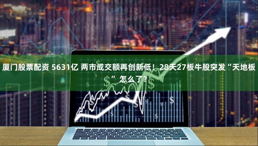 厦门股票配资 5631亿 两市成交额再创新低！28天27板牛股突发“天地板” 怎么了？