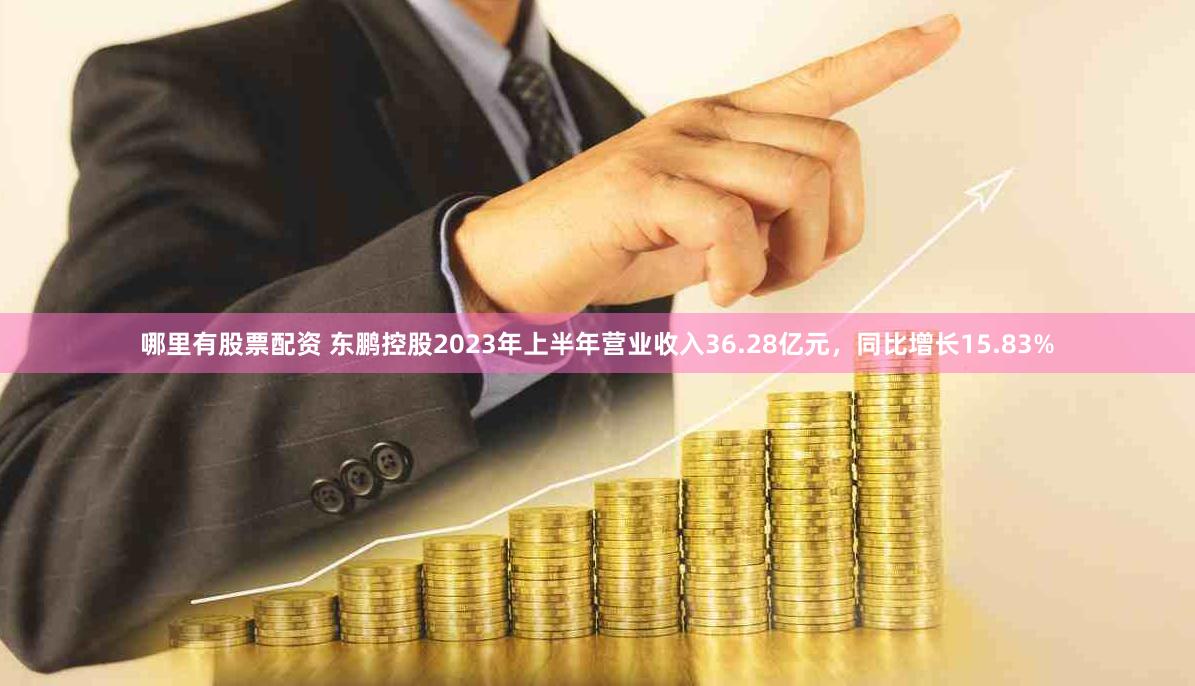 哪里有股票配资 东鹏控股2023年上半年营业收入36.28亿元，同比增长15.83%