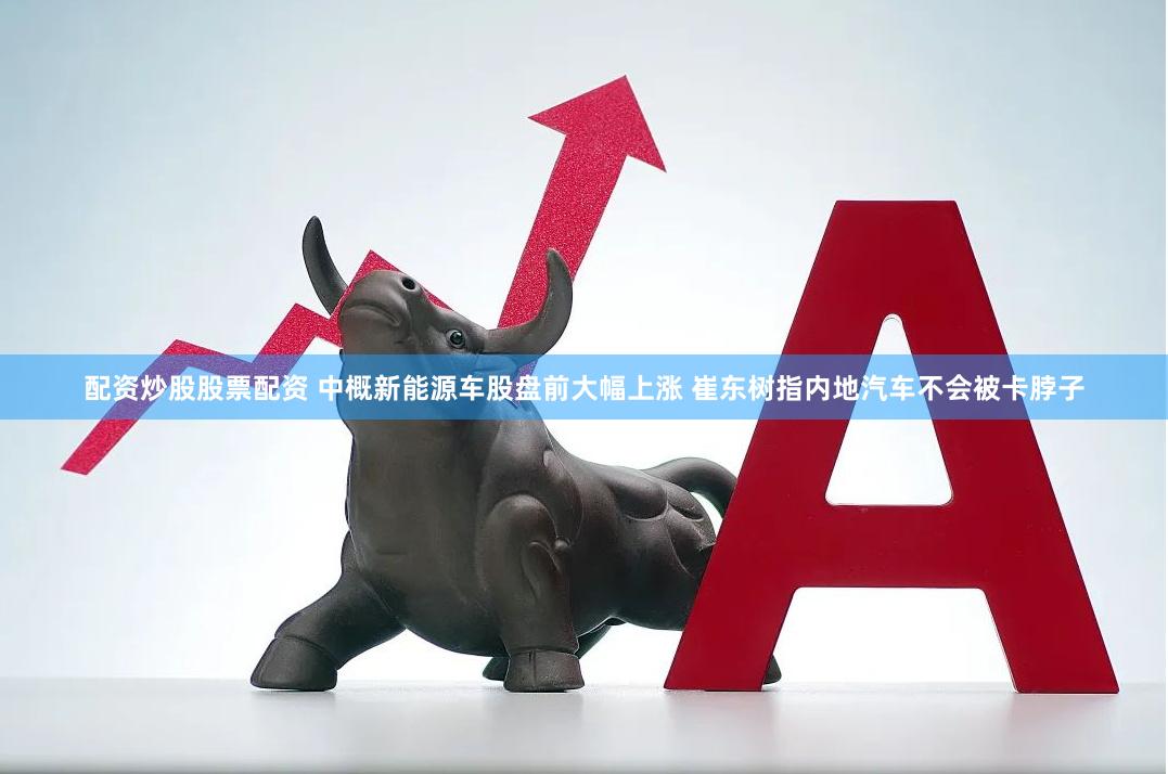 配资炒股股票配资 中概新能源车股盘前大幅上涨 崔东树指内地汽车不会被卡脖子