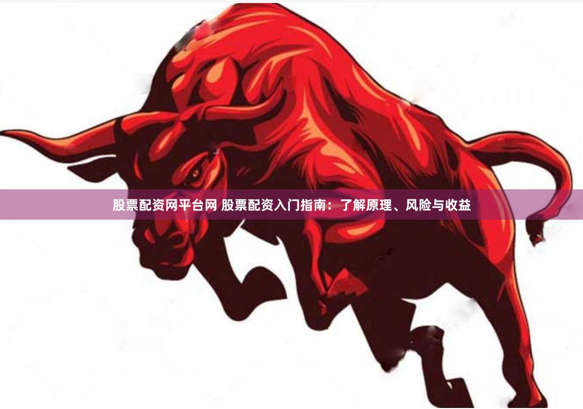 股票配资网平台网 股票配资入门指南：了解原理、风险与收益