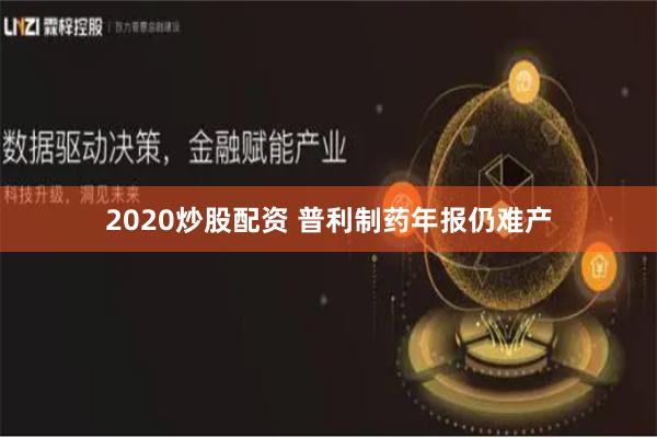 2020炒股配资 普利制药年报仍难产