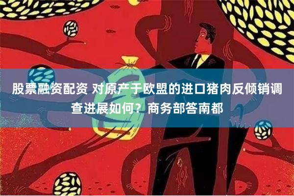 股票融资配资 对原产于欧盟的进口猪肉反倾销调查进展如何？商务部答南都