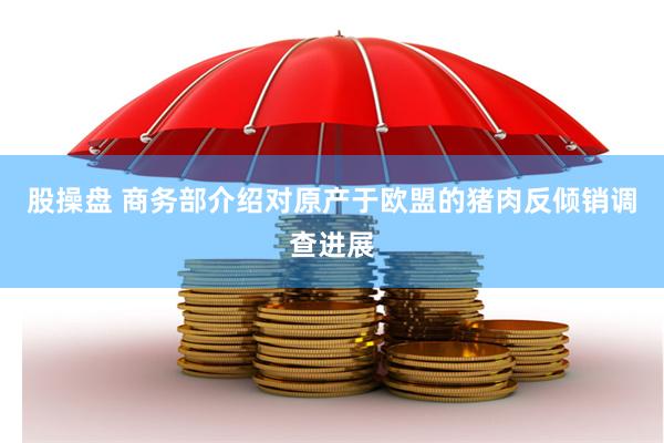 股操盘 商务部介绍对原产于欧盟的猪肉反倾销调查进展